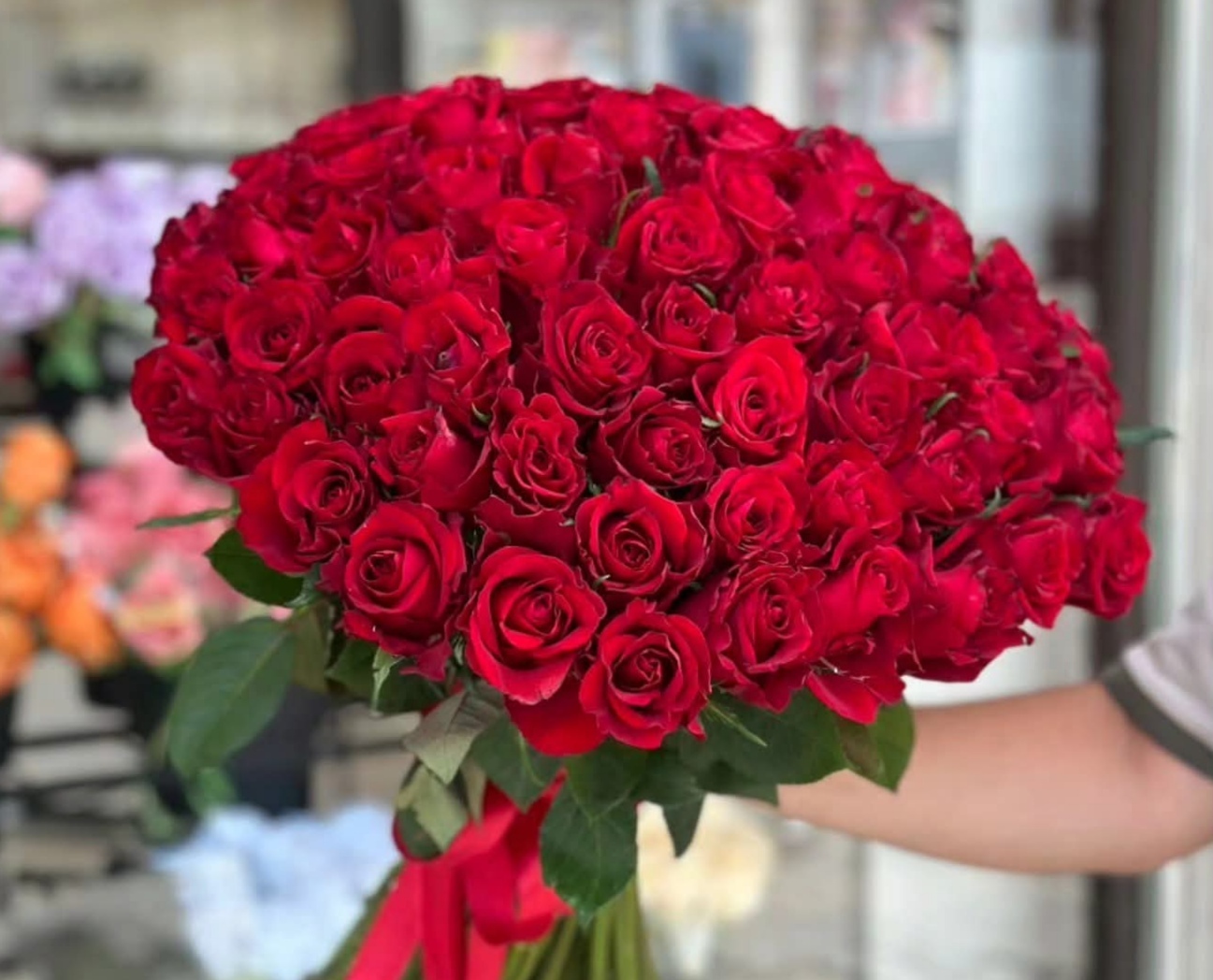 زهور لارسا
